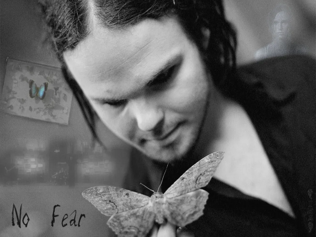 Rasmus - No Fear.jpg